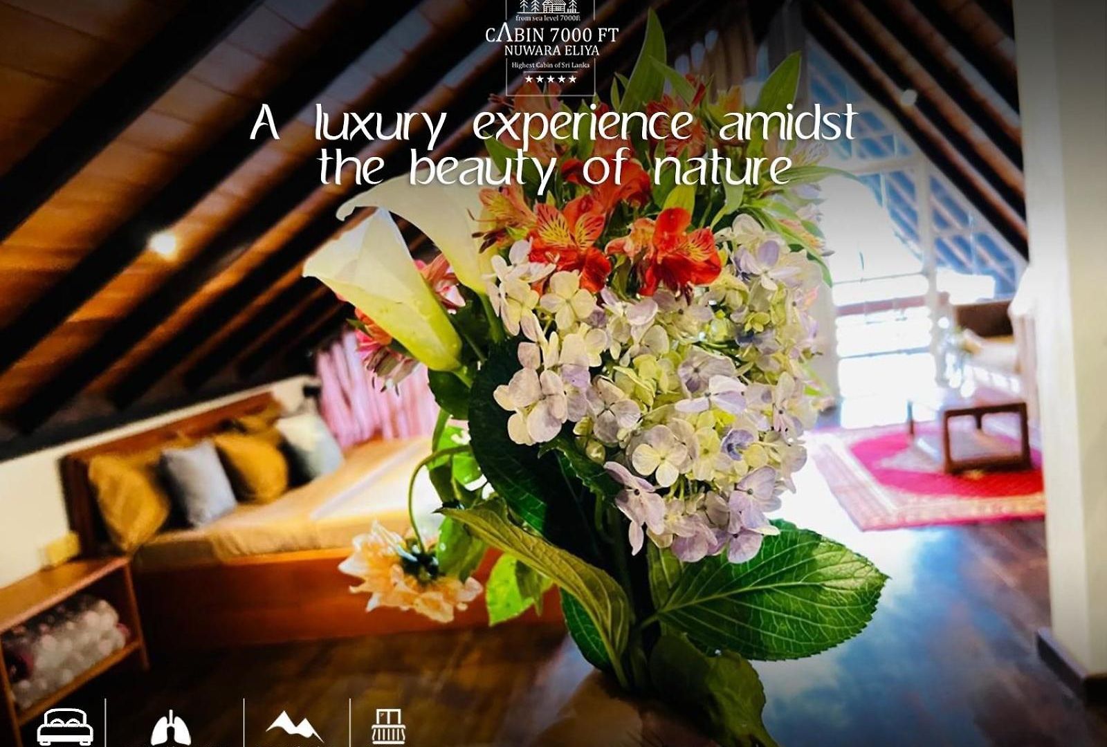 7000 Feet - A Cozy Mountain View Retreat In Chalet *
