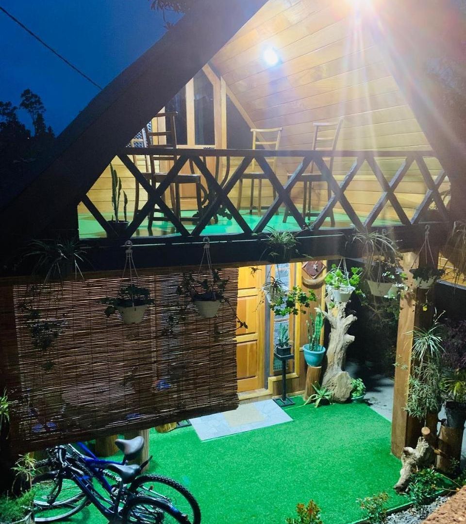 Homestay 20/20 Wood