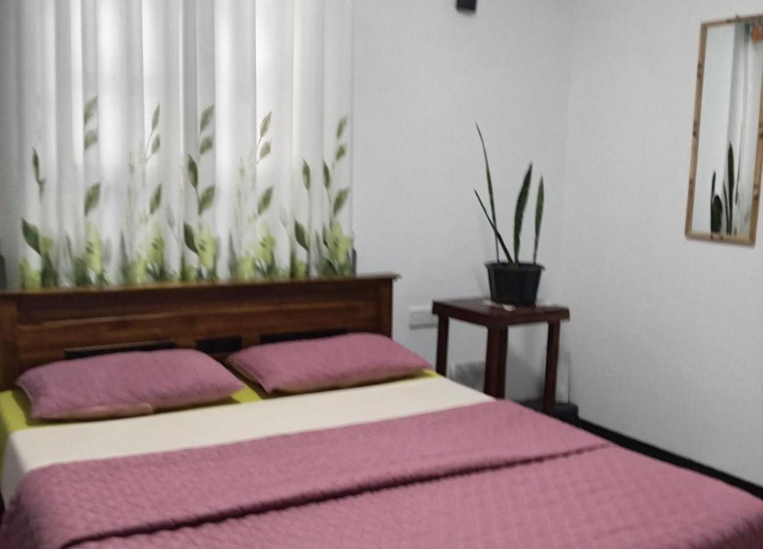 Homestay S And D *