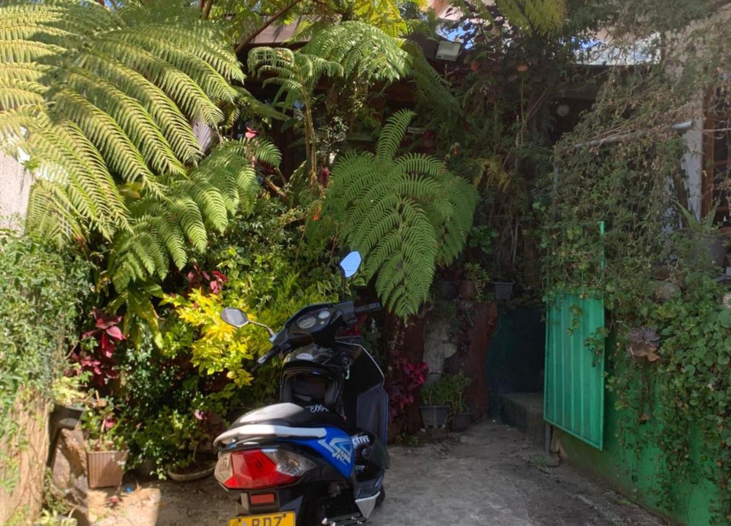 2020 Wooden Homestay