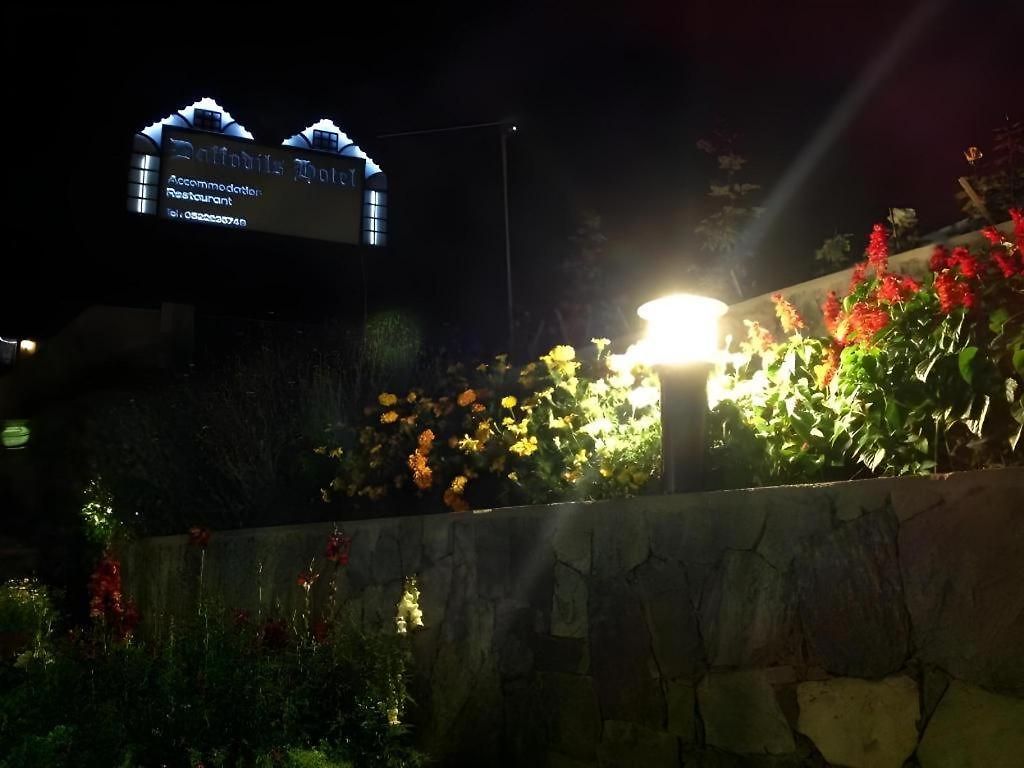 Daffodils Hotel 4*