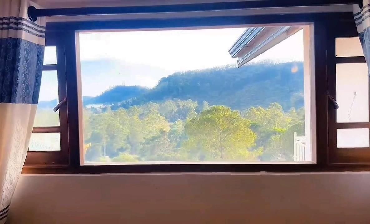Doyans Misty Heaven