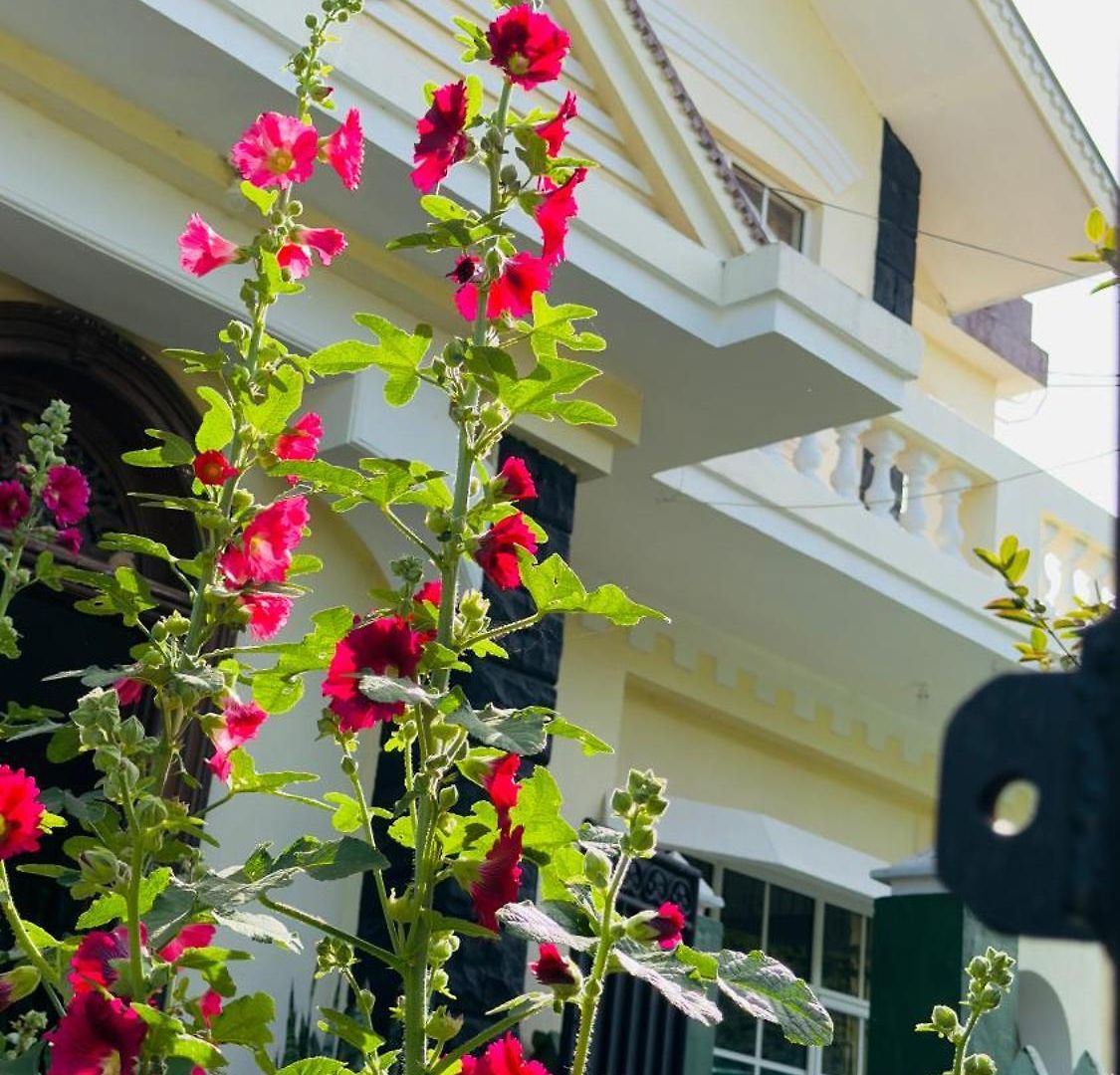 Grand Nauro Homestay *