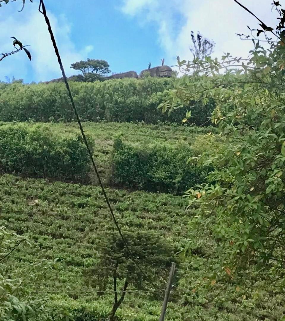 Fair Field Nuwara Eliya