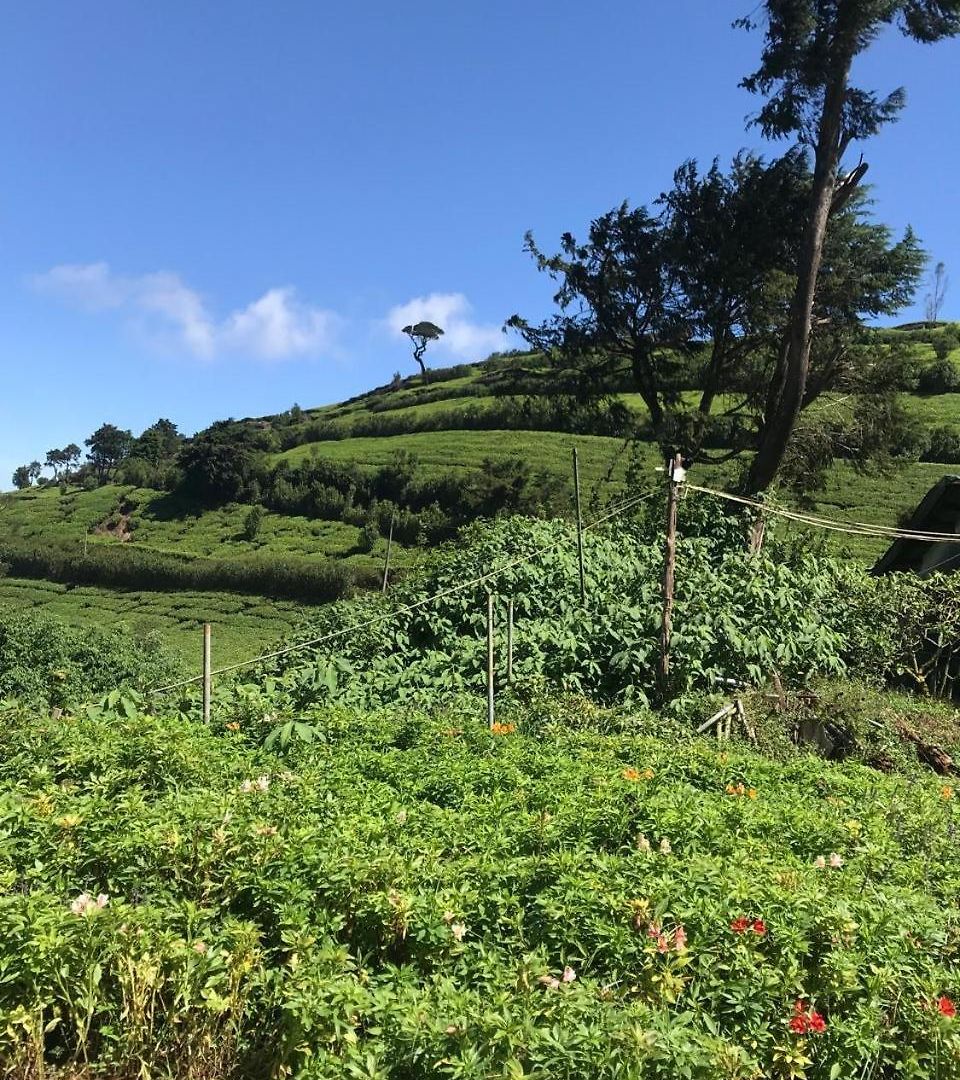 Fair Field Nuwara Eliya