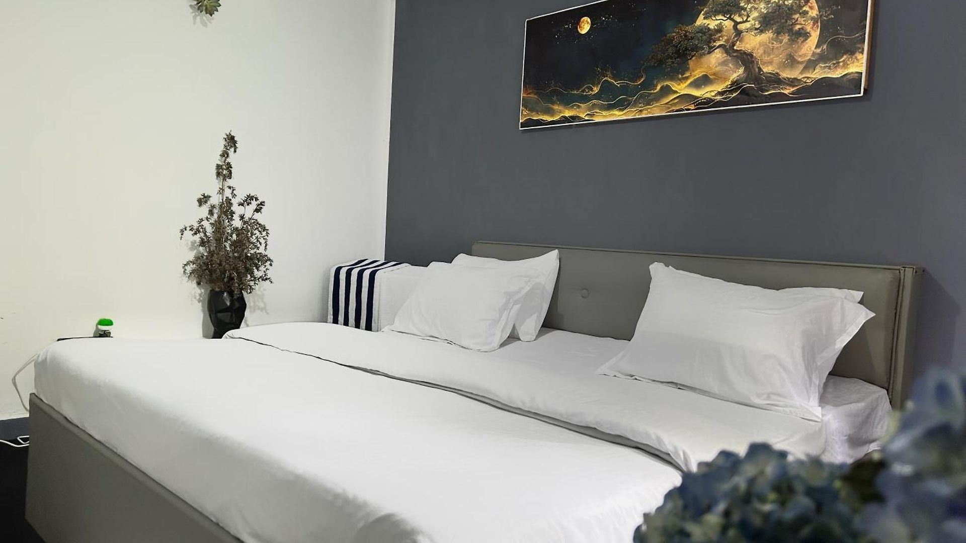 Hidden Treasure Bed & Breakfast