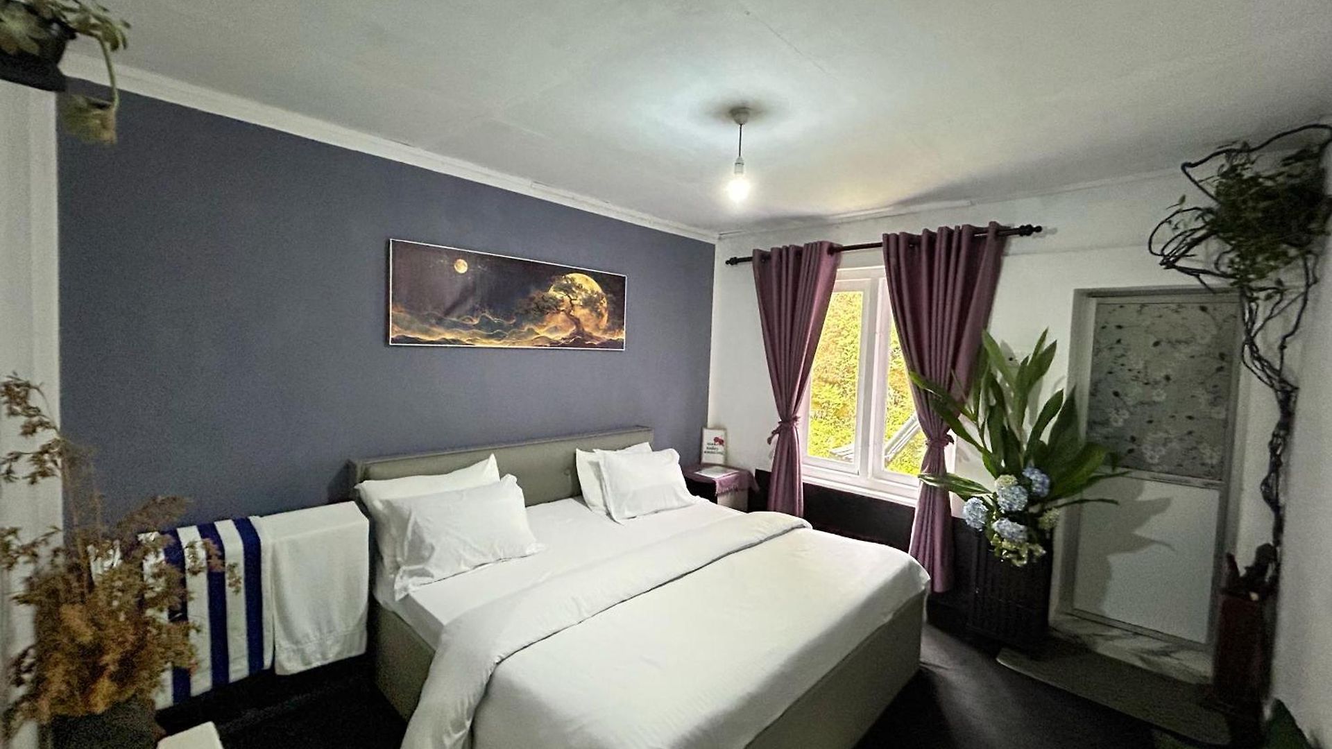 Bed & Breakfast Hidden Treasure 3*