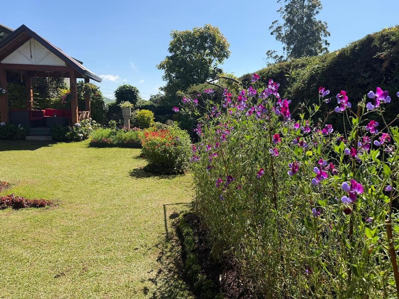 The Rosedale Grand * Nuwara Eliya
