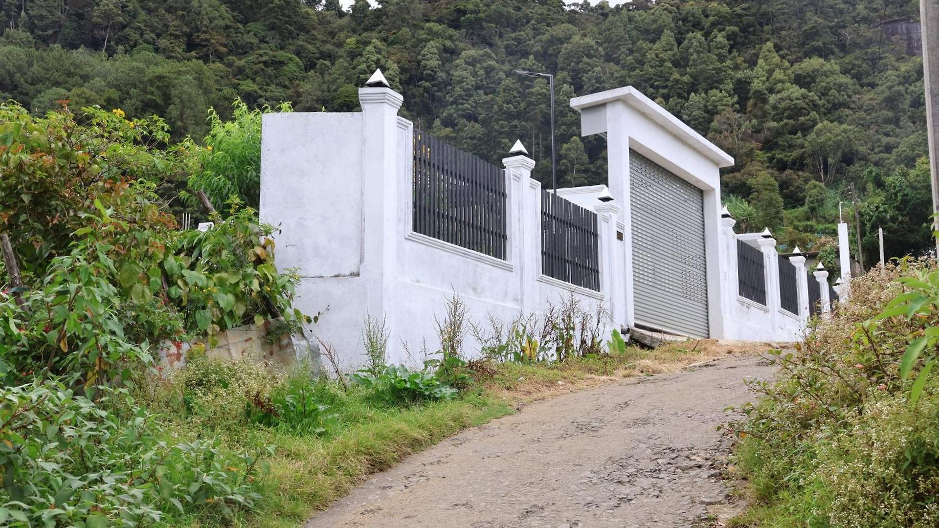 Guest house White Rose Villa, *