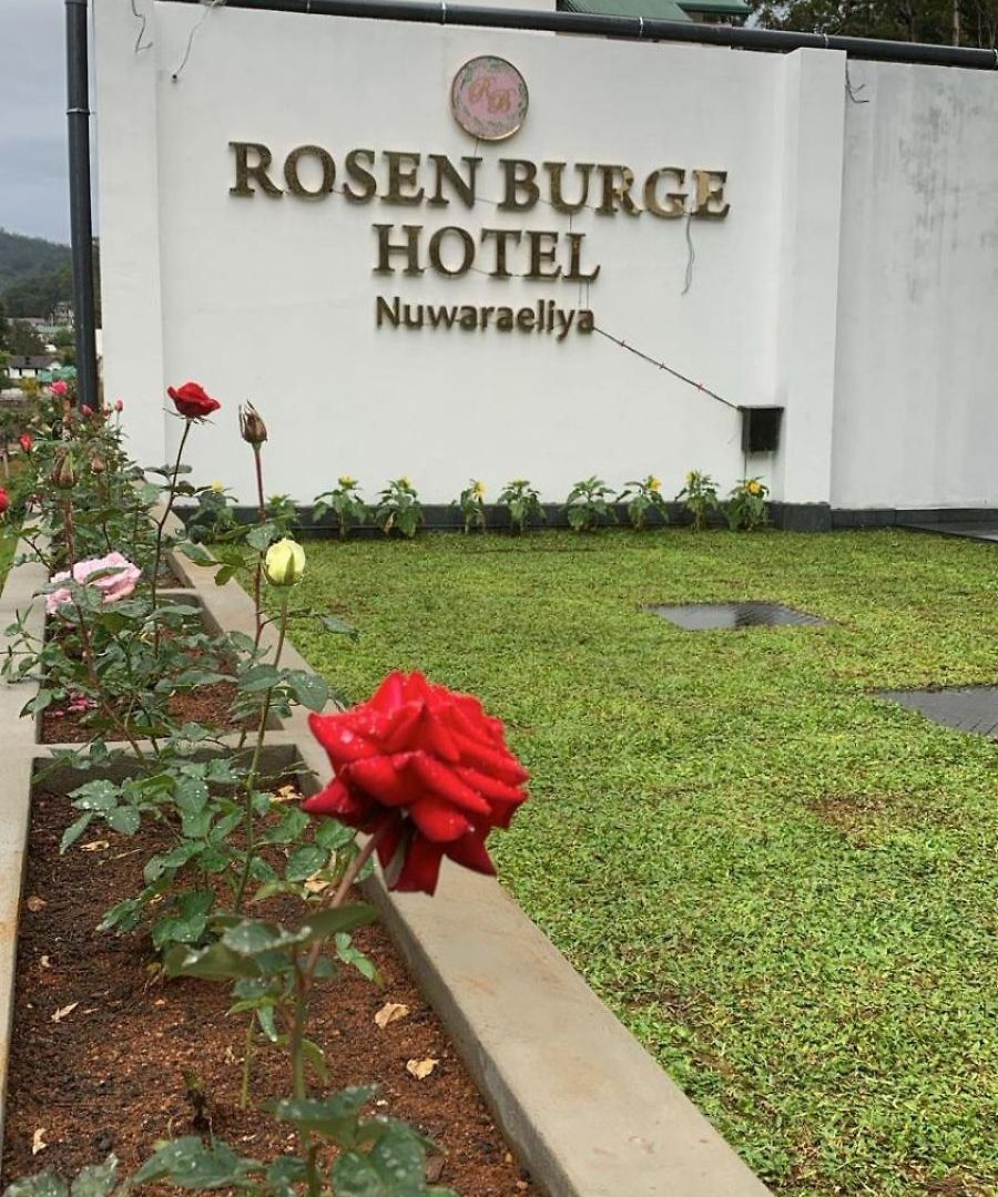 Rosen Burge Nuwaraeliya * Nuwara Eliya