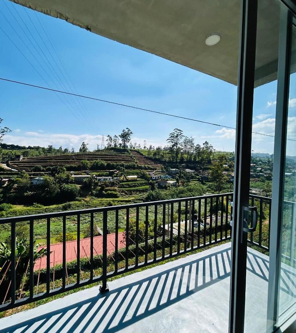Viora Guest house 3*
