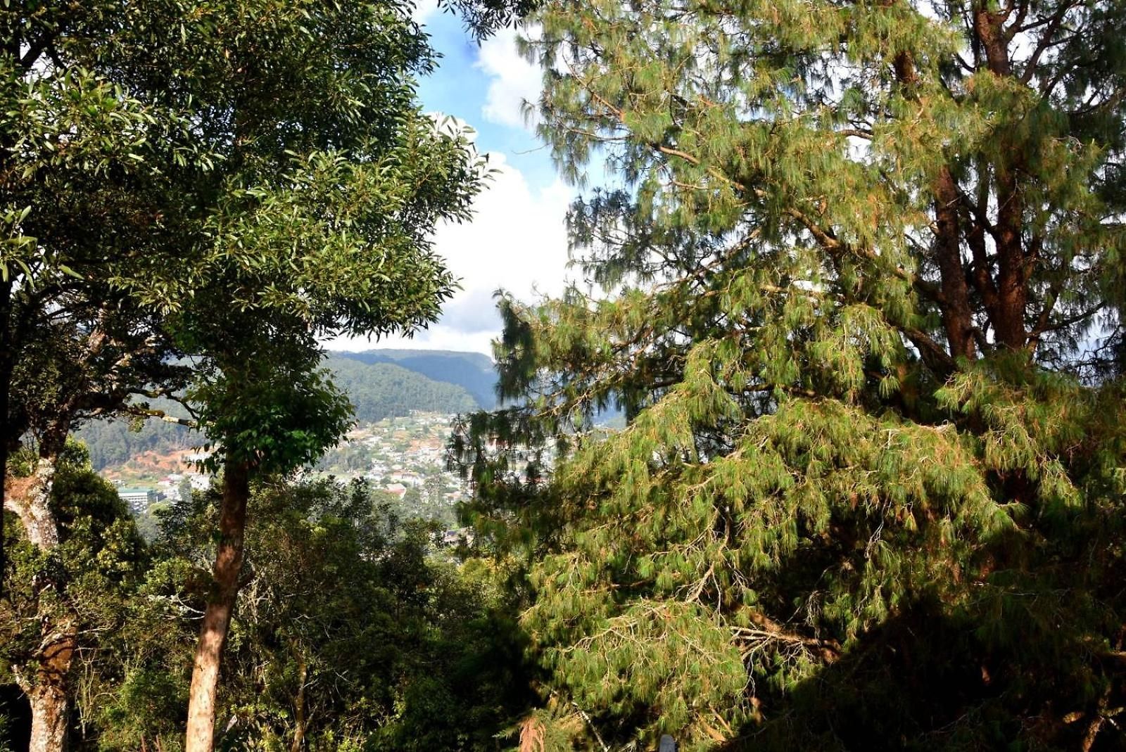 Forests Heaven Guest house *