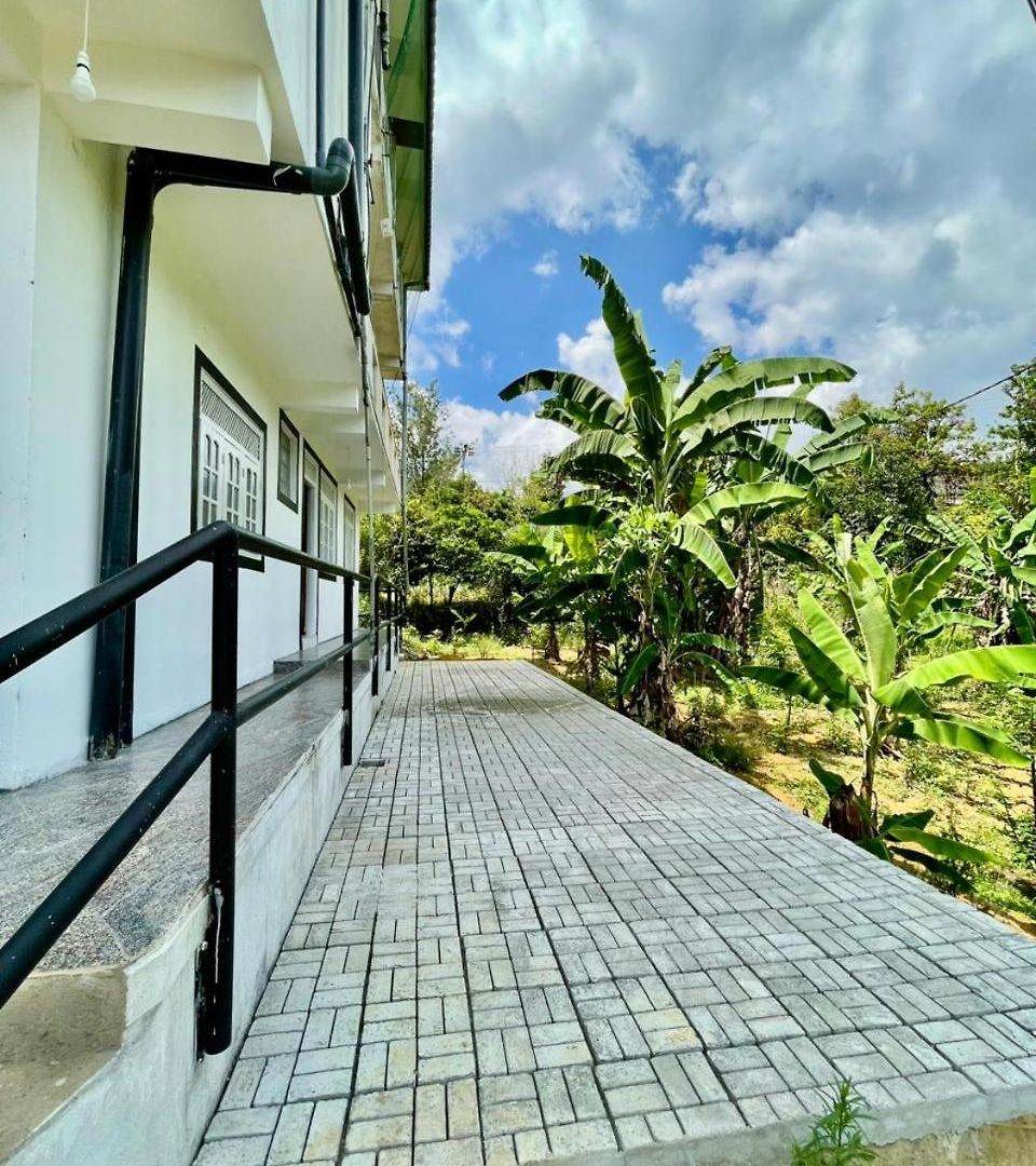 Villa Elegant Mist *