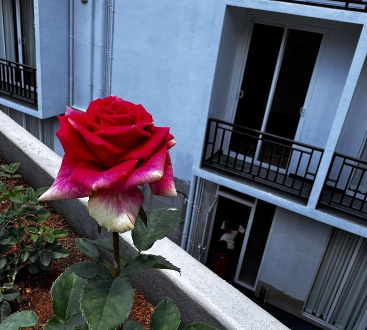 Hotel Rosen Burge Nuwaraeliya Nuwara Eliya