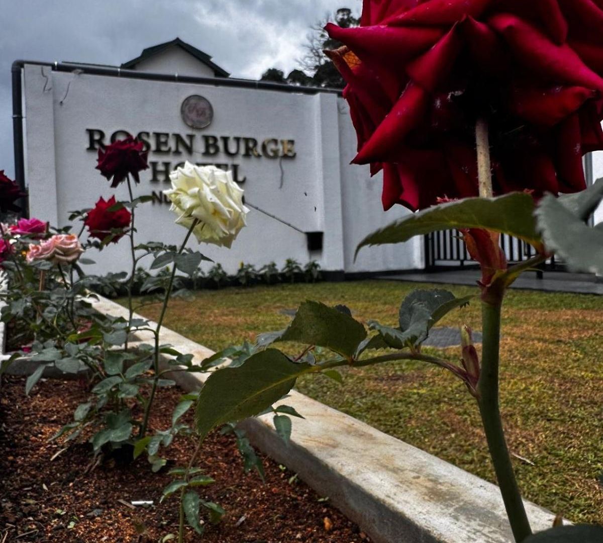 Rosen Burge Nuwaraeliya