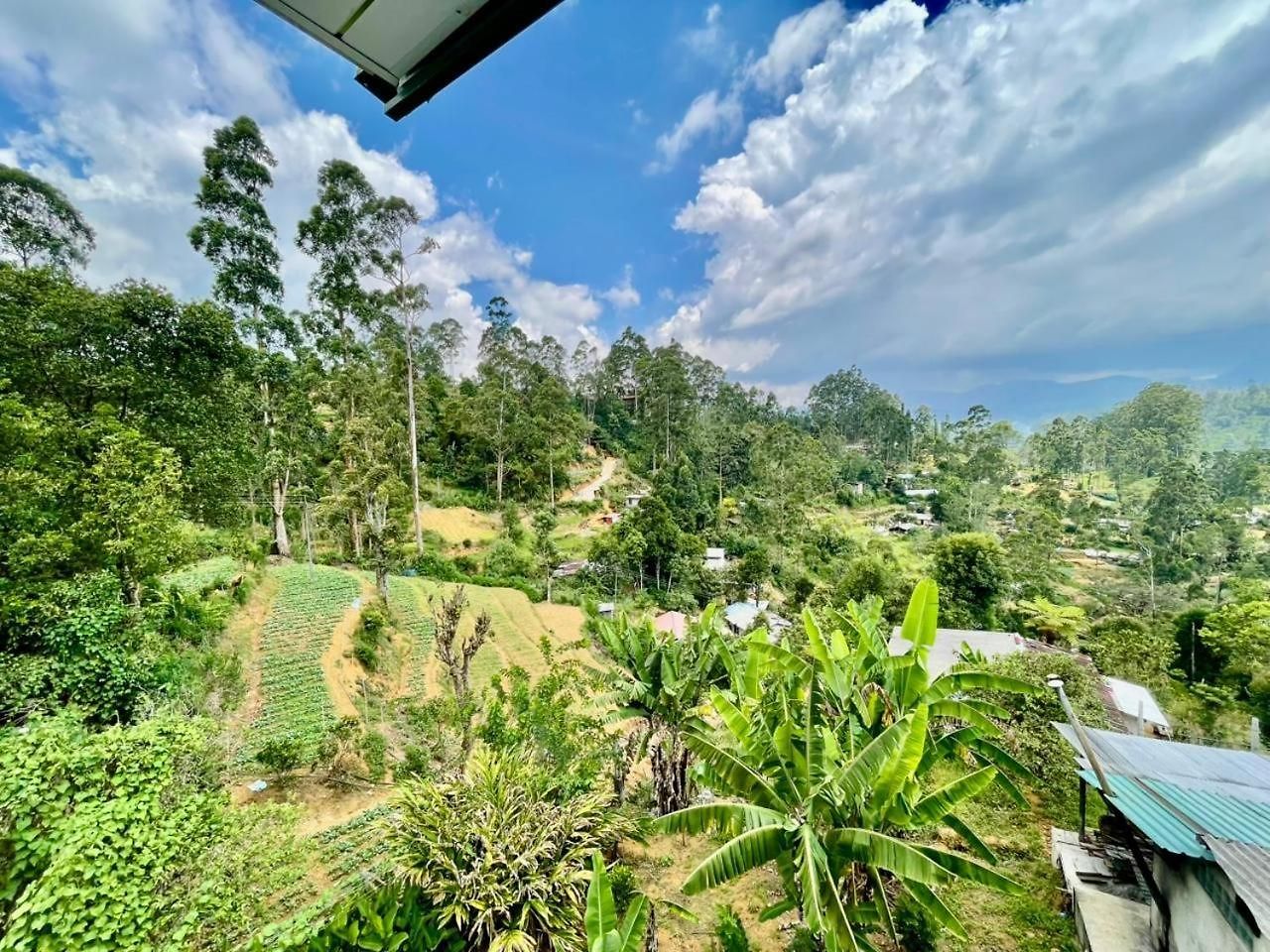 Villa Elegant Mist *