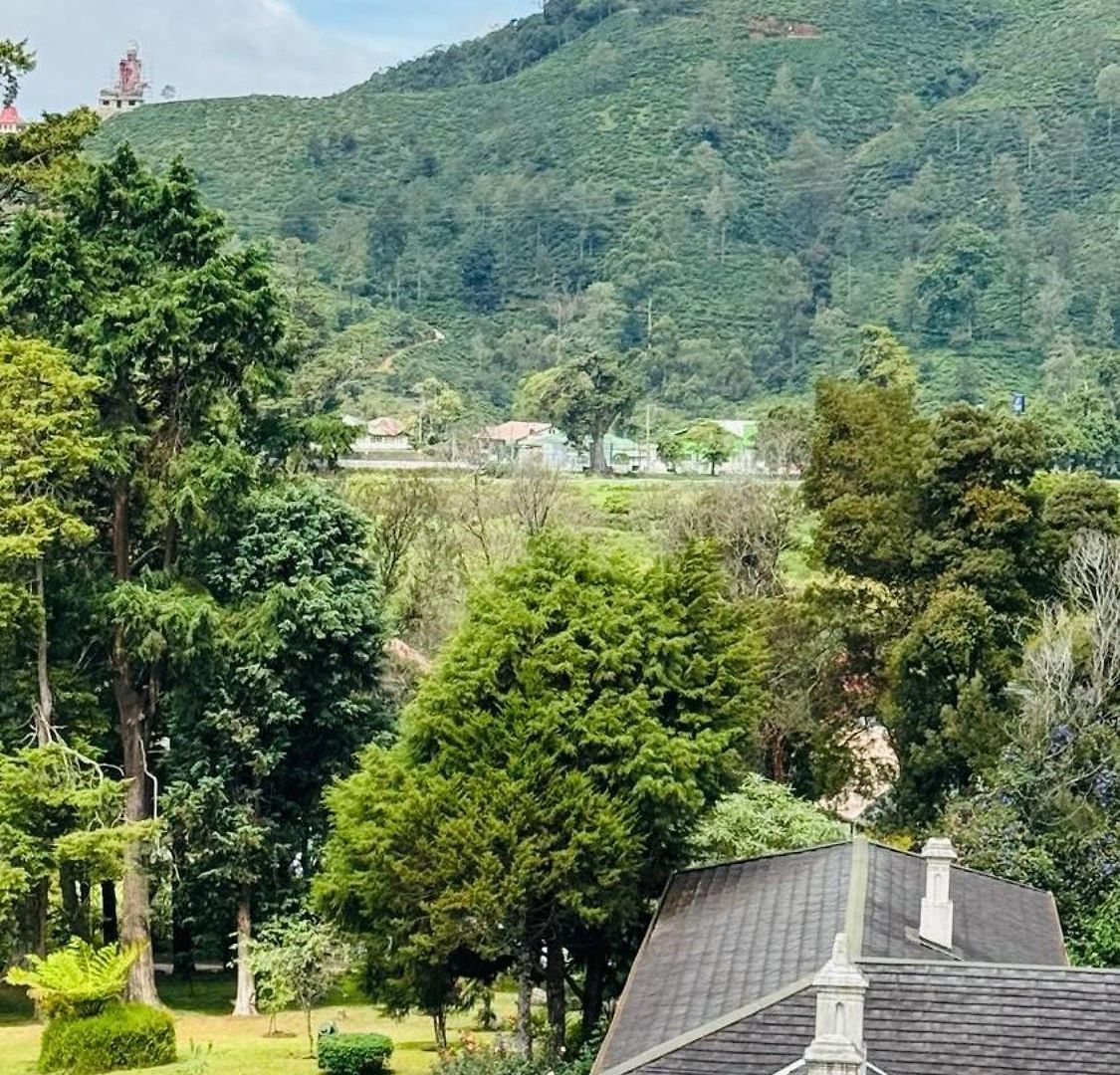 Terwanguy Grand View T-38 Nuwara Eliya