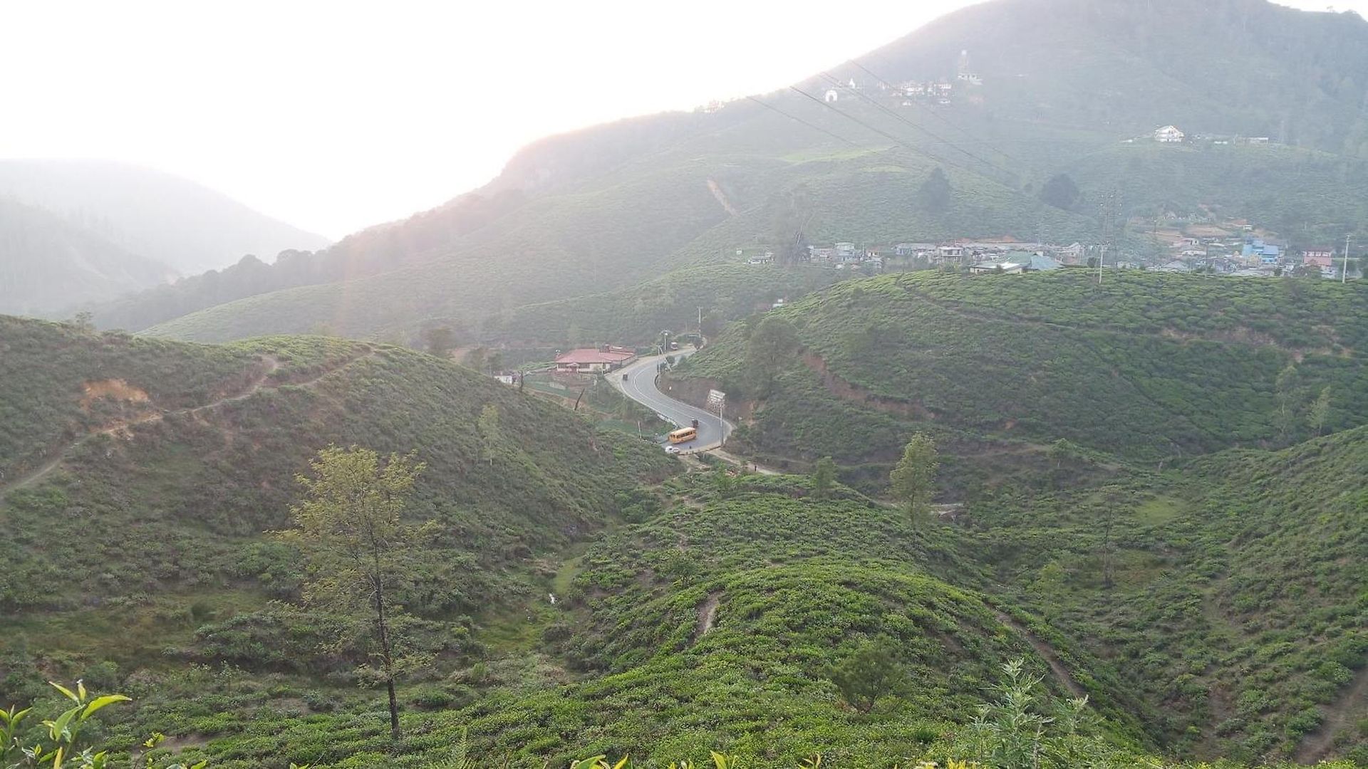 Minds Nuwara Eliya