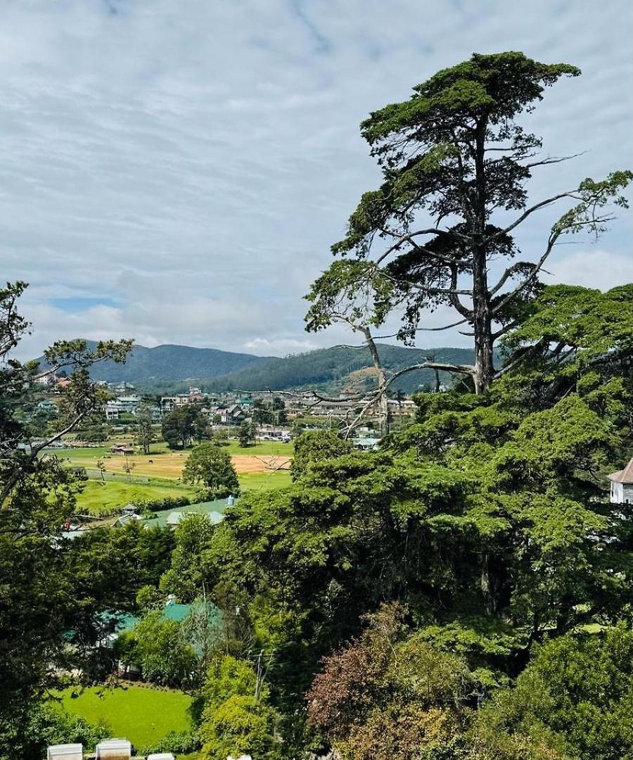 Terwanguy Grand View T-38 Nuwara Eliya
