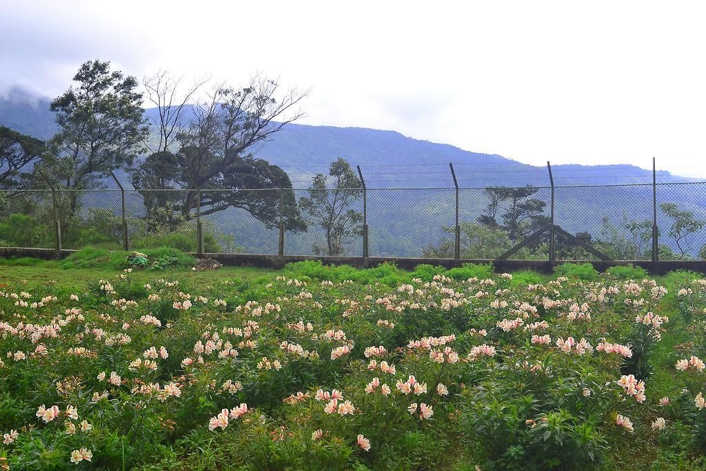 Sky Breeze Nuwara Eliya, Sri Lanka Nuwara Eliya