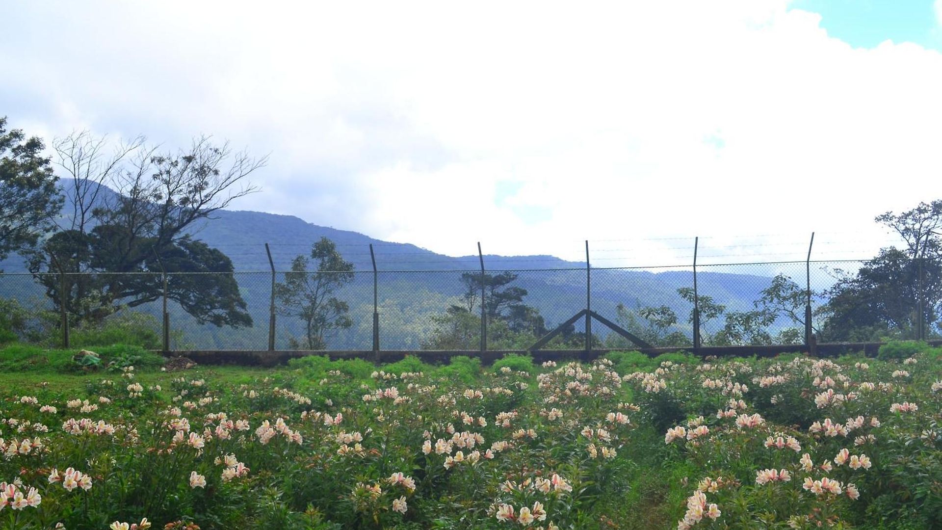 Sky Breeze Nuwara Eliya, Sri Lanka Nuwara Eliya
