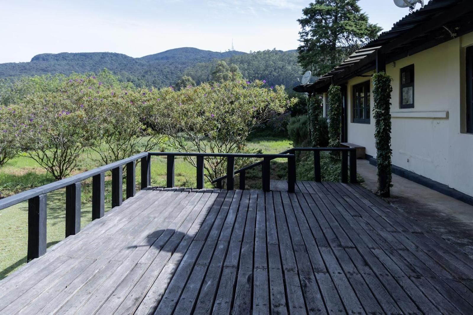 Ferncliff