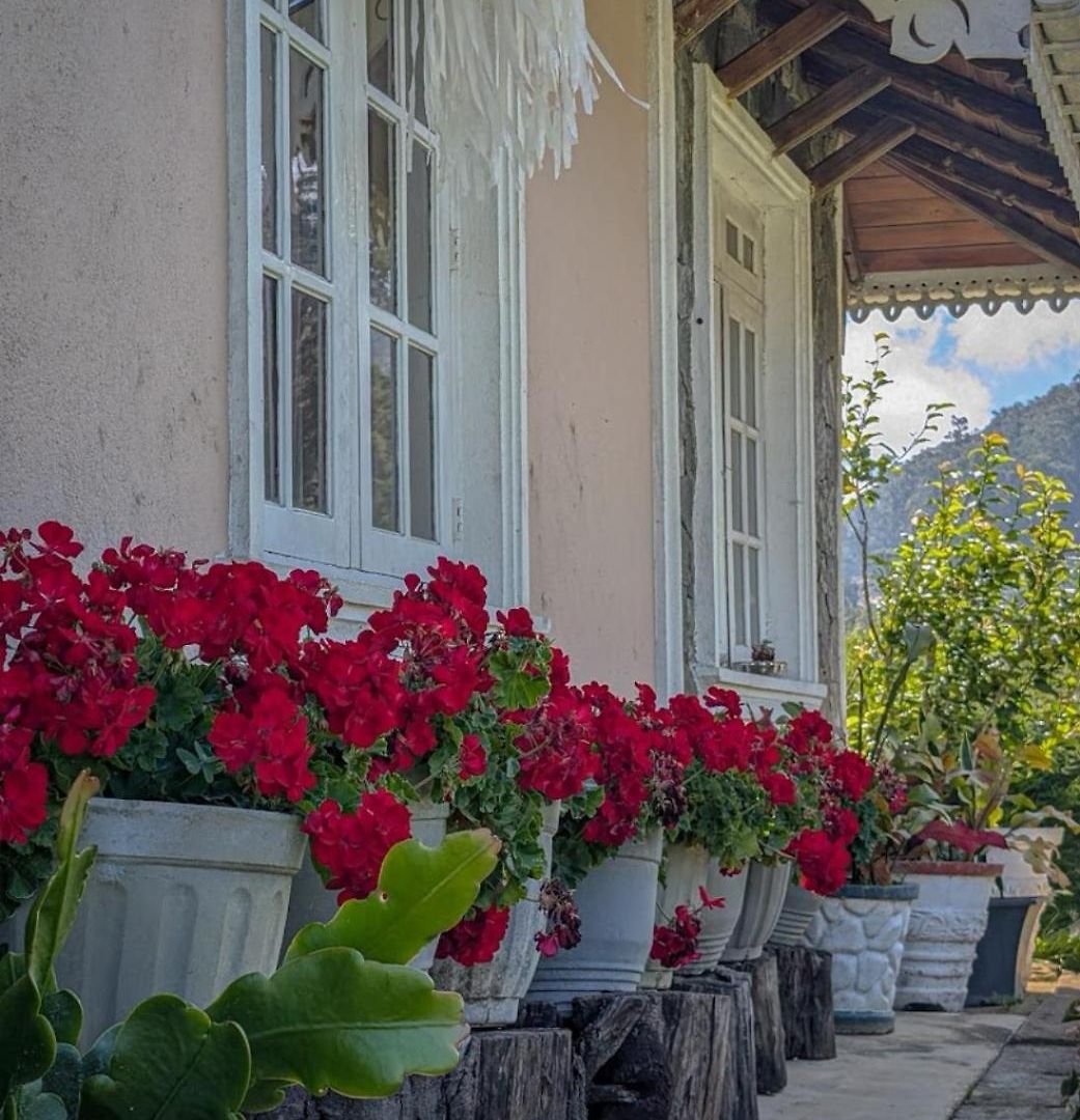 Homestay Royal Wattles Boutique *