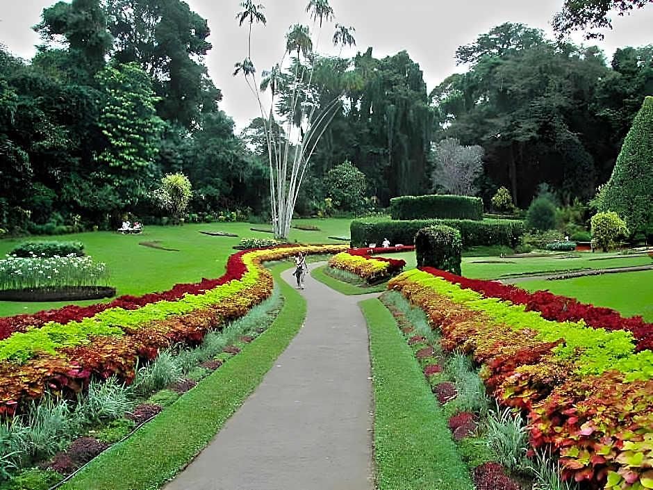 Manudi Glenfallsedge Rest 3* Nuwara Eliya