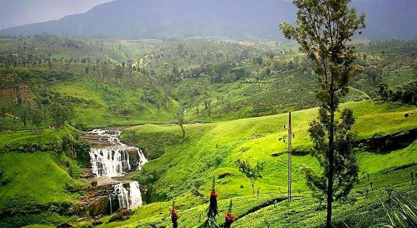 Oak Ray Summer Hill Breeze Nuwara Eliya