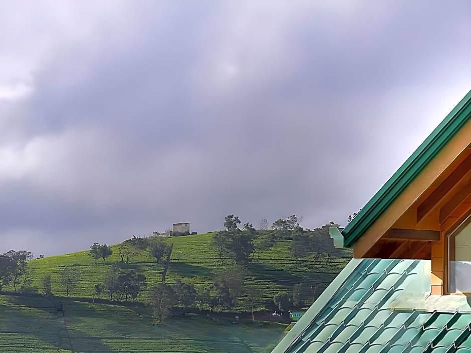 Villa Tea Plant *