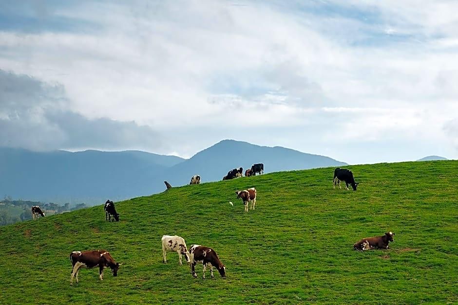 Jetwing Warwick Gardens, A Luxury Reserve 5* Nuwara Eliya