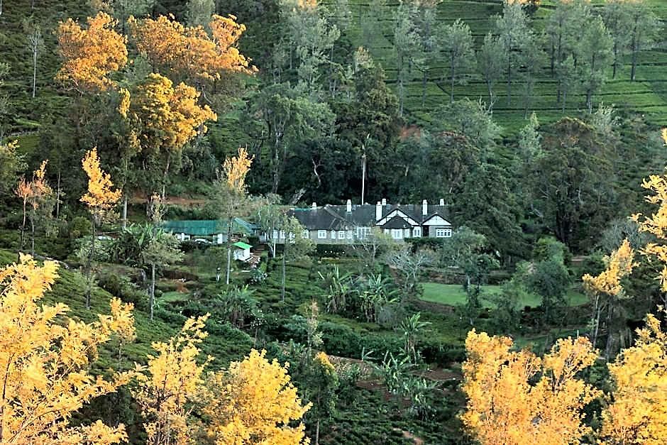 Scottish Planter Bungalow- Thema Collection Hotel
