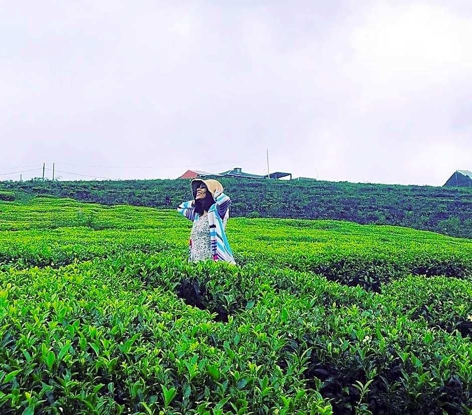 The Tea Garden - Complimentary Breakfast, Near Gregory *