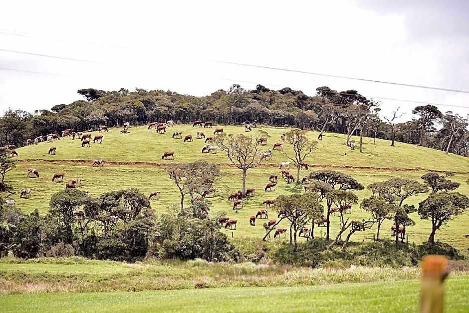 Lodge Forest View Nuwara Eliya