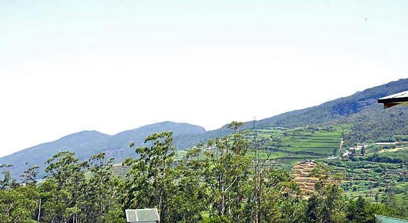 Lodge Forest View *