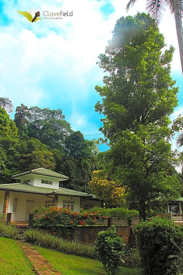Clovefield Guest house 2*