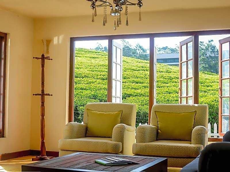 Tea Fields - Free Breakfast, Just 4km From City, Near Gregory