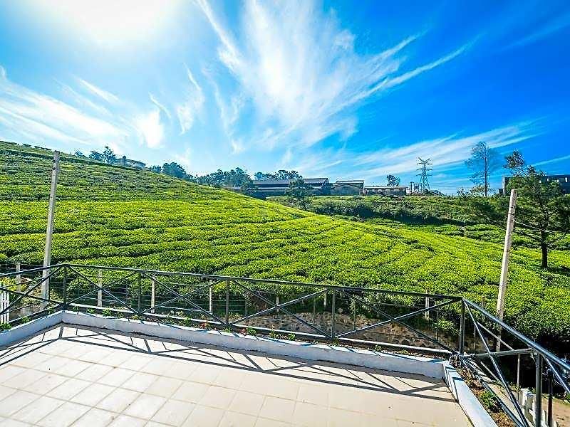 Tea Fields - Free Breakfast, Just 4km From City, Near Gregory Villa *
