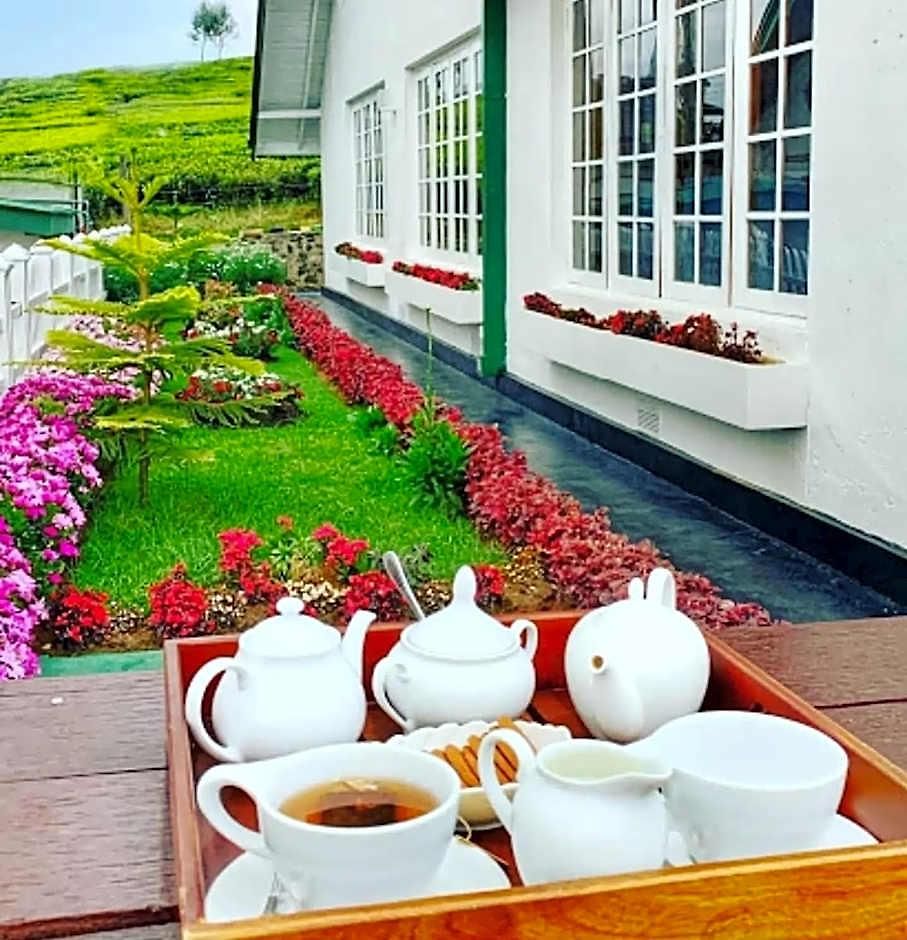 Tea Fields - Free Breakfast, Just 4km From City, Near Gregory Villa *