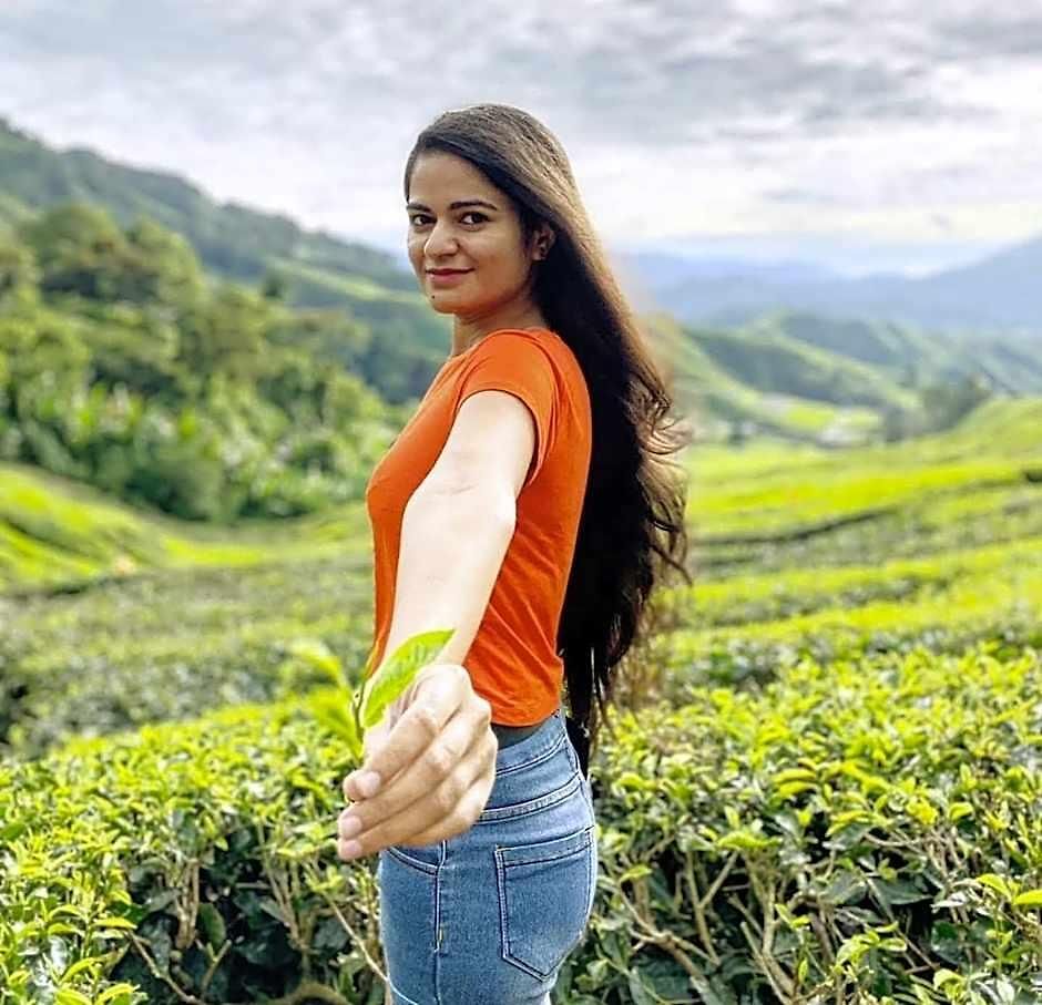 Tea Fields - Free Breakfast, Just 4km From City, Near Gregory Nuwara Eliya