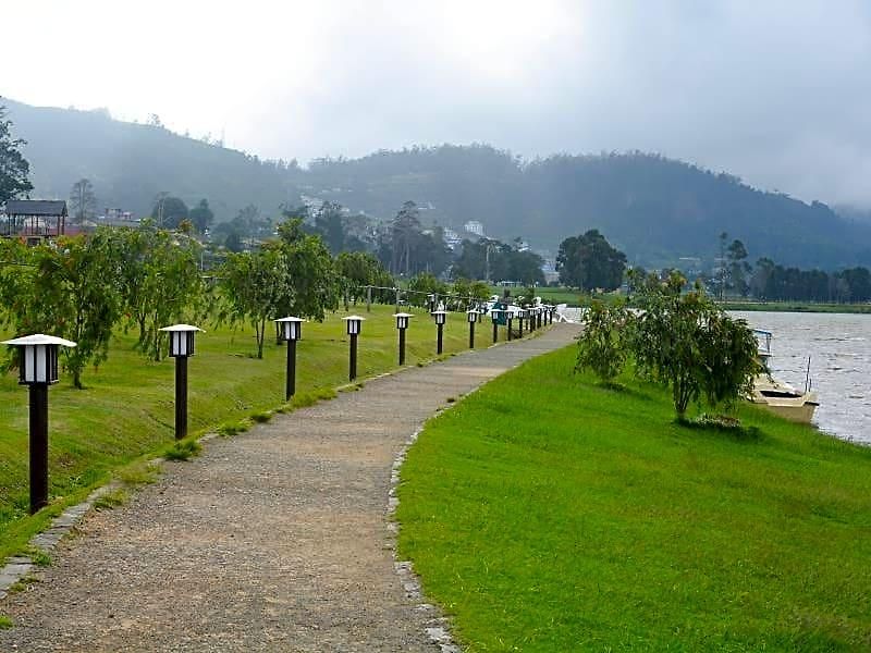 Tea Fields - Free Breakfast, Just 4km From City, Near Gregory Villa