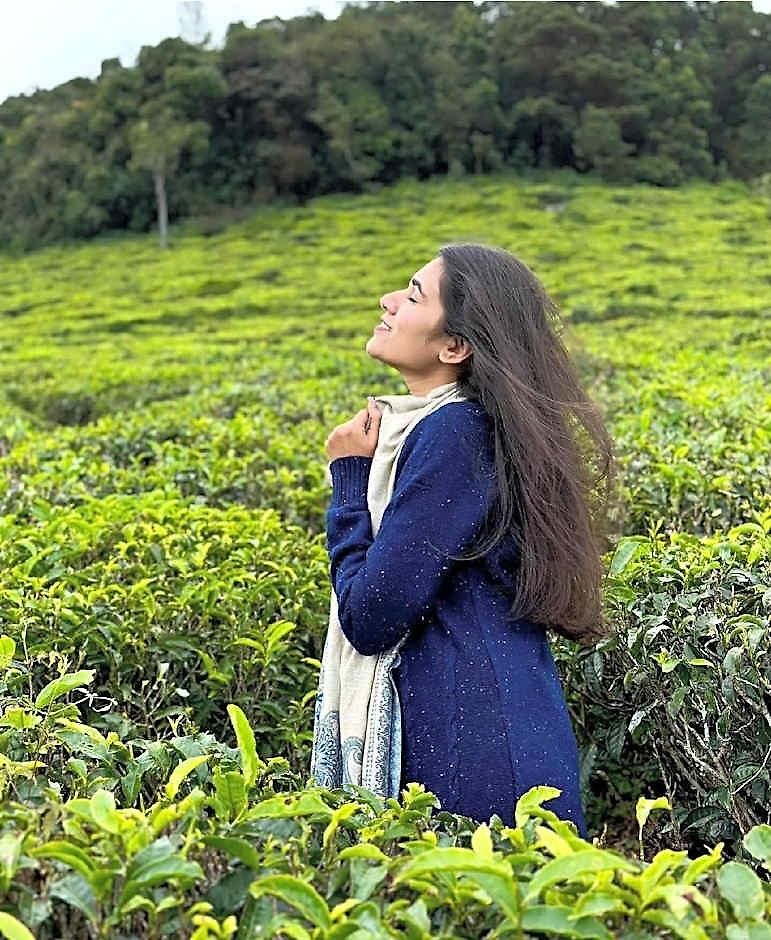 Tea Fields - Free Breakfast, Just 4km From City, Near Gregory Villa