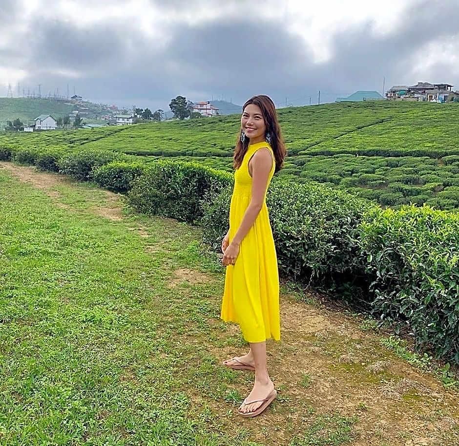 Tea Fields - Free Breakfast, Just 4km From City, Near Gregory Villa