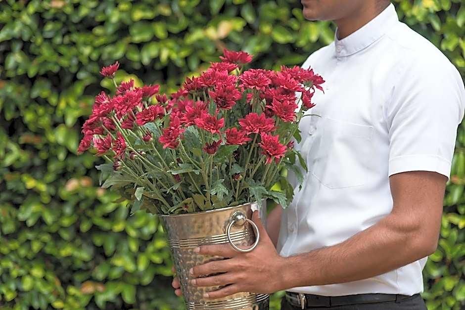 Oliphant Boutique By Amaya Hotel