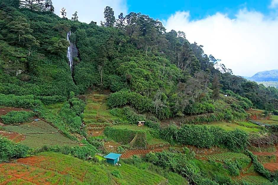 Resort Ashley Nuwaraeliya