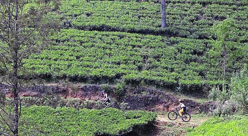 Heritance Tea Factory (adults Only) Hotel Nuwara Eliya