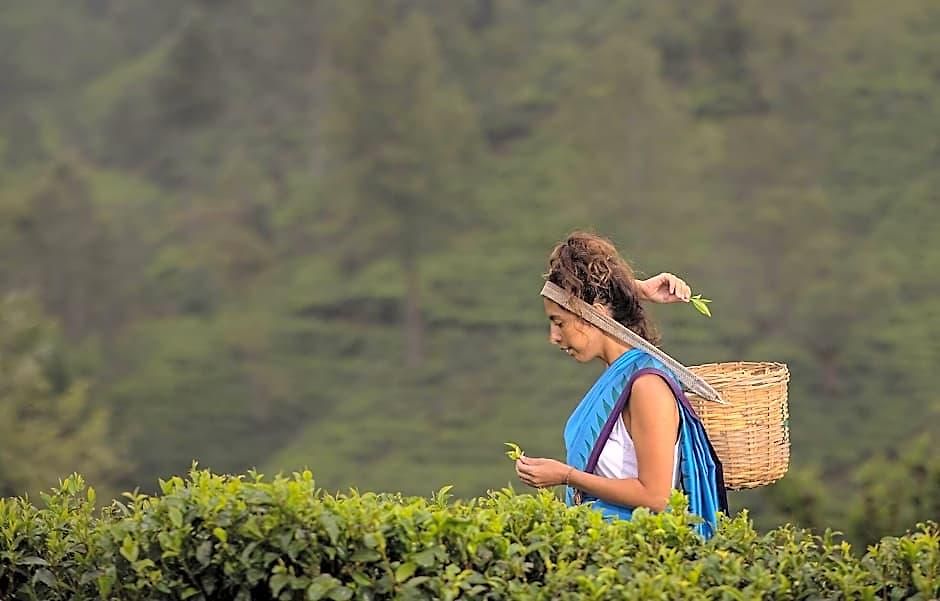 Heritance Tea Factory (adults Only) Nuwara Eliya