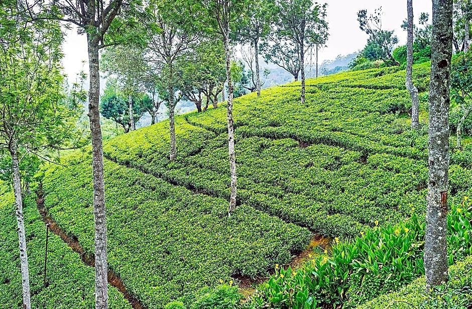 Heritance Tea Factory (adults Only) Nuwara Eliya