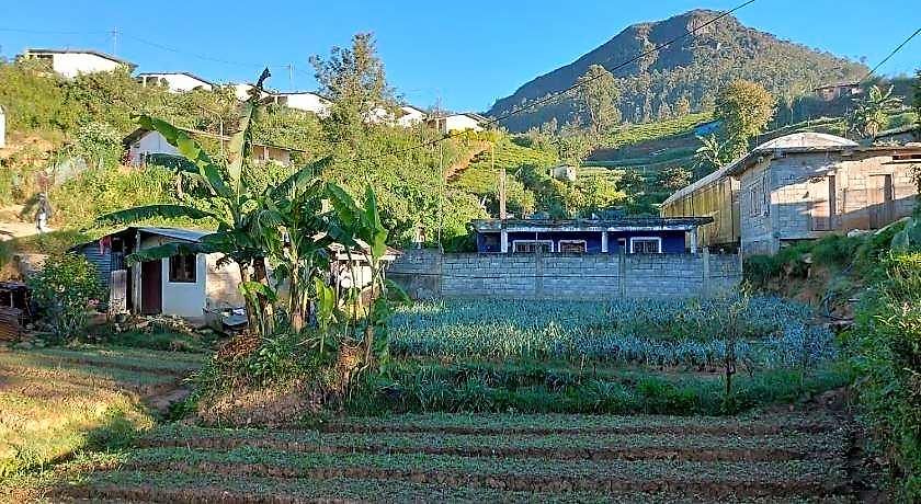 Green Villa *