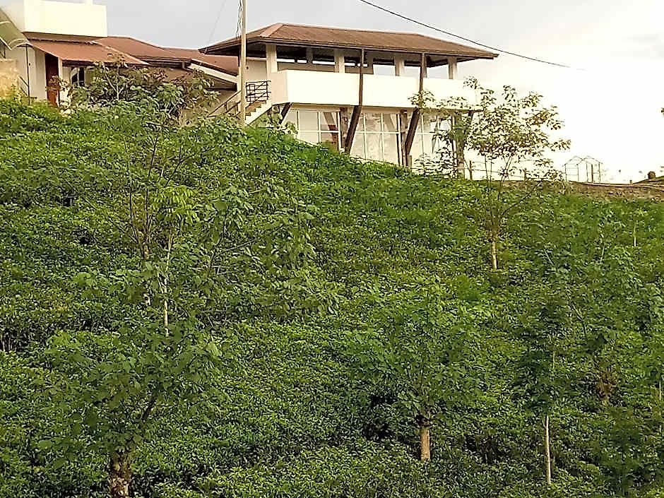 Hotel Tranquil Ridge Hilltop Nuwara Eliya